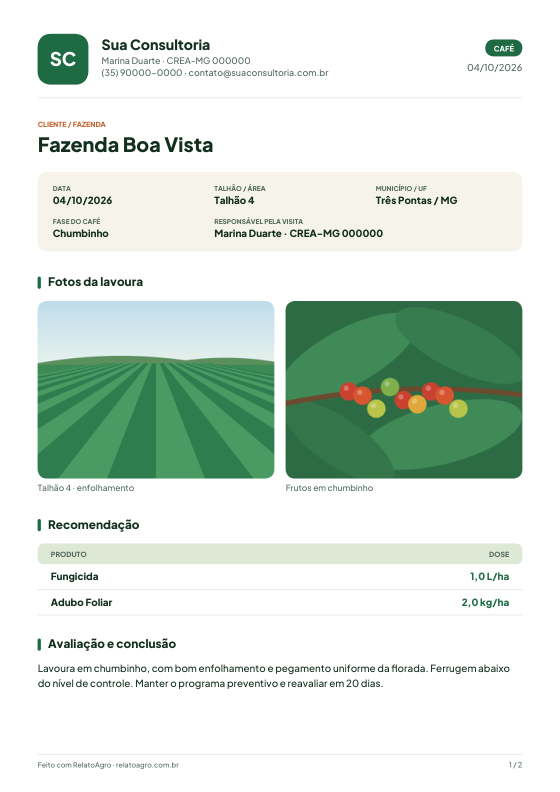 Primeira página do PDF do relatório de visita